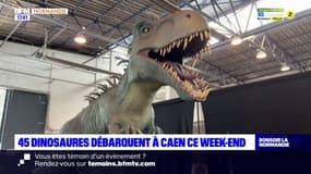 45 dinosaures débarquent à Caen ce week-end