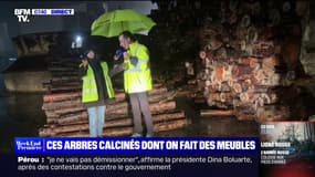 La seconde vie des bois calcinés par les incendies de l'été dernier en Gironde