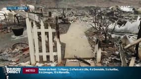 Etats Unis: 9 milliards de dollars de coûts suite aux incendies en Californie?