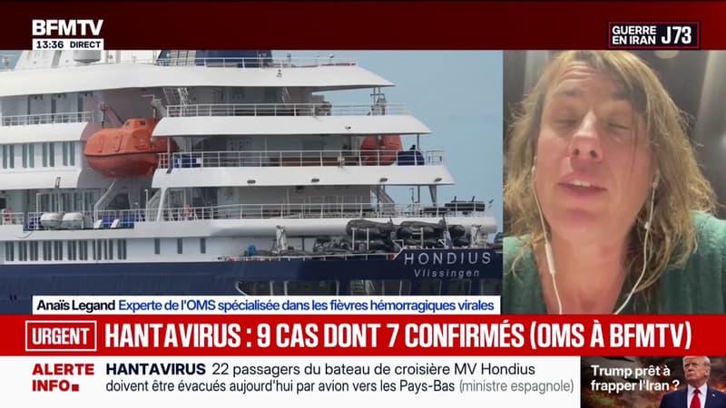 Hantavirus: 
