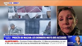 "Bien sûr qu'il va parler": maître Béatrice Zavarro, avocate de Dominique Pelicot, s'exprime avant la dernière journée du procès de Mazan
