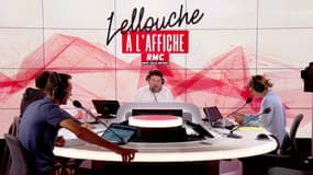 Ému, Philippe Lellouche nous raconte son rapport avec les agriculteurs. 