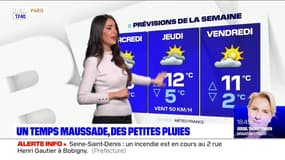 Météo Paris-Ile de France du 22 février: De la grisaille et de la pluie