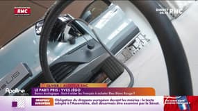 Bonus écologique pour les véhicules électriques "made in France" : "une forme de protectionnisme" ? 