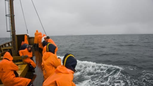 Des touristes à bord d'un bateau tentent d'apercevoir des baleines, le 28 juin 2011 au large de Husavik, en Islande