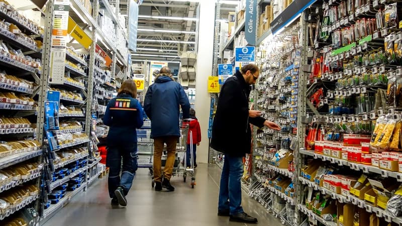 Un magasin de bricolage à Lille (photo d'illustration).