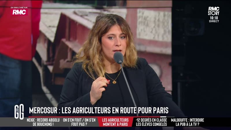 L'accord sur le Mercosur bientôt ratifié? "C'est une humiliation pour Macron"