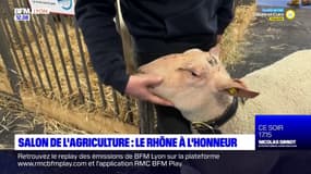 Salon de l'agriculture: le Rhône à l'honneur