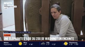 Le break du vendredi 28 novembre