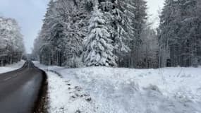 La neige est tombée dans la nuit de ce mardi 19 à ce mercredi 20 novembre, au niveau du sommet du Champ du Feu (Bas-Rhin). 