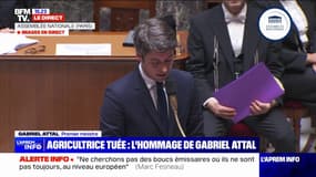 Gabriel Attal interpelle les députés écologistes à l'Assemblée nationale: "Vos larmes pour nos agriculteurs ressemblent à des larmes de crocodile"