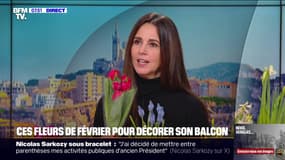 Comment décorer son balcon avec des fleurs de saison?