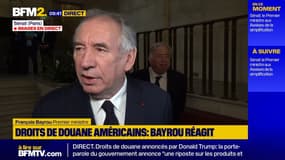 Hausse des droits de douane: une "catastrophe" pour l'Europe mais aussi les Etats-Unis, selon Bayrou 
