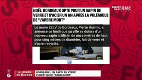 Le monde de Macron : Un sapin en verre à Bordeaux plutôt qu'un "arbre mort" - 30/11