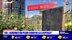 L'été chez nous: jardinez en plein cœur de la capitale