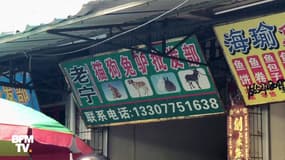 En Chine, polémique autour d'un festival où on mange des chiens