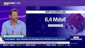 Idée de placements : Quel regard les internautes portent-ils sur les SCPI ? - 25/01