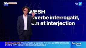 Wesh tout le monde - La météo de Colas du jeudi 11 décembre 2025