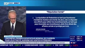 Benaouda Abdeddaïm: L'Indonésie, premier exportateur mondial de charbon pour l'électricité, suspend ses ventes extérieures - 03/01