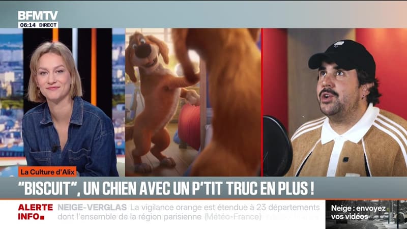 "Biscuit", un chien avec un p'tit truc en plus ! - 05/01
