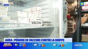 Auvergne-Rhône-Alpes: des pénuries de vaccins contre la grippe