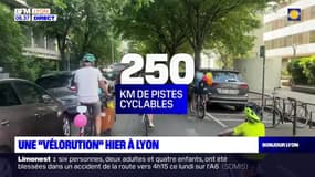 Une '"vélorution" ce dimanche à Lyon