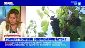 BFM Lyon et vous: comment trouver de bons vignerons à Lyon?