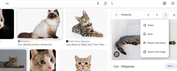 Capture d'écran d'une recherche d'image Google