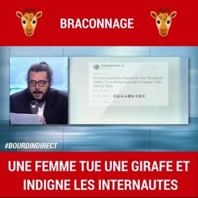 Une femme tue une girafe et indigne les internautes
