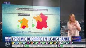 L'épidémie de grippe arrive en Ile-de-France 