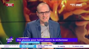 On n'arrête pas le progrès : Des plantes pour lutter contre la sécheresse - 28/06