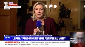 "C'est le moment ou jamais": Marine Le Pen demande aux députés LFI de voter sa motion de censure