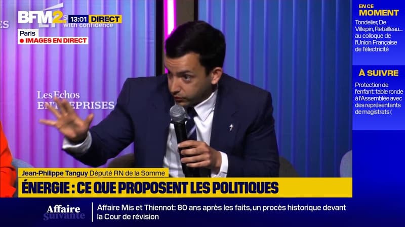 Énergie: la France "n'a pas besoin de photovoltaïque", assure Jean-Philippe Tanguy (RN)