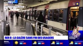 RER B: la galère sans fin des usagers