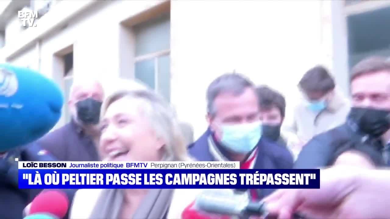 Après Buisson, Peltier rejoint Zemmour Après Buisson, Peltier rejoint Zemmour