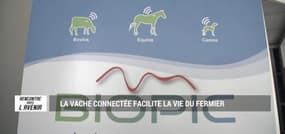 Et si l’agriculture utilisait aussi le big data ?