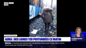Auvergne-Rhône-Alpes: des lignes TER perturbées ce lundi matin