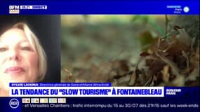 Seine-et-Marne: "L'idée, c’est de se déconnecter", explique la  directrice générale de Seine-et-Marne Attractivité, sur le slow tourisme