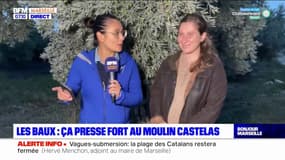 Les Baux-de-Provence: récolte et pressage des olives au moulin Castelas