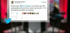 Vu sur les réseaux sociaux: Gattaz raillé par les internautes pour avoir vendu seulement 25 exemplaires de son dernier livre