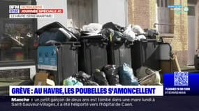 Le Havre: après une semaine de grève des éboueurs, les poubelles s'entassent