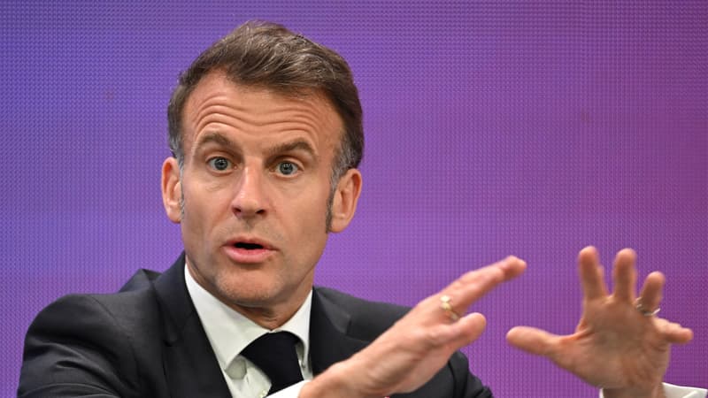 Emmanuel Macron attendu à Lyon pour le sommet One Health sur la santé et l'environnement