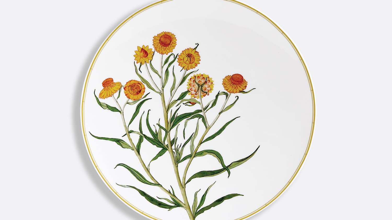 Les assiettes Jardin Indien Bergenis de Bernardaud.
