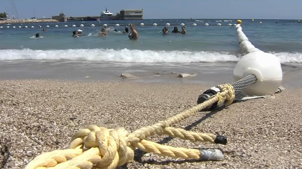 Pourquoi les filets anti-méduse sont-ils si peu utilisés sur les plages de  la Côte d'Azur? - Var-Matin