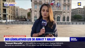 Marseille: le détail des résultats aux élections européennes par arrondissement