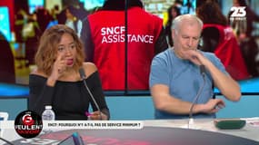 Les GG veulent savoir: Grève SNCF, pourquoi n'y a-t-il pas de service minimum ? - 03/04