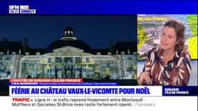 Château de Vaux-le-Vicomte: 100.000 visiteurs attendus jusqu'au 7 janvier