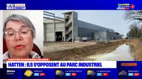 Hatten: un collectif s'oppose au parc industriel de 54 hectares