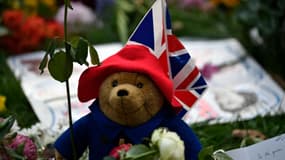 Une peluche Paddington déposée à Green Park en hommage à la reine