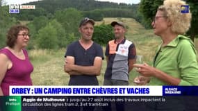 À Orbey, un camping est implanté en plein milieu d'une ferme